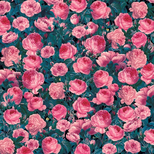 Cricut® Infusible Ink™ Transfer Sheet Patterns, Cabbage Rose
